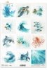  Żółw morski, złota rybka, ryby, delfin, ośmiornica, manta, płaszczka, ocean, fauna, akwarela*Sea turtle, goldfish, fish, dolphin, octopus, manta ray, stingray, ocean, fauna, watercolor